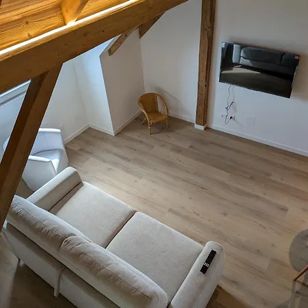 La Charmante Remise D'alsace - Le Apartman *