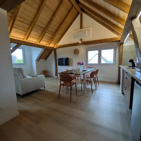 Apartamento La Charmante Remise D'alsace - Le