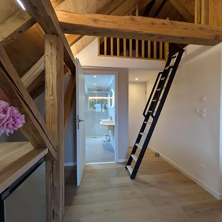 La Charmante Remise D'alsace - Le Apartamento Hessenheim