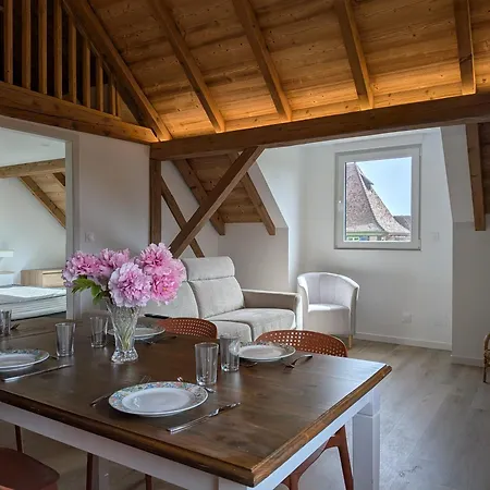La Charmante Remise D'alsace - Le Apartman *