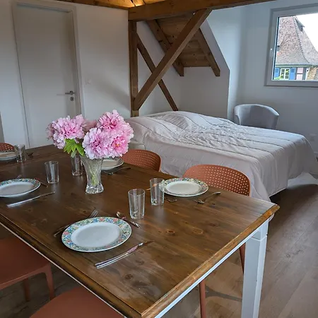 La Charmante Remise D'alsace - Le Apartamento Hessenheim