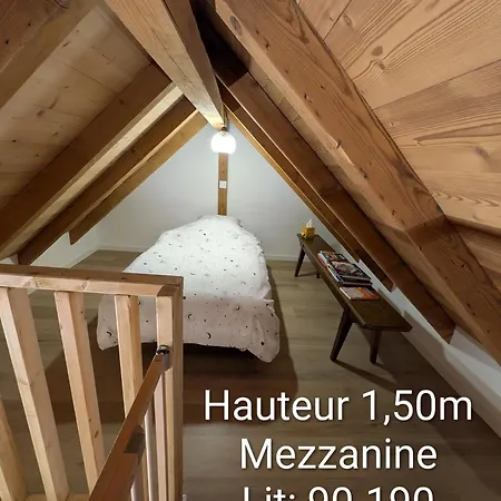 Apartamento La Charmante Remise D'alsace - Le Hessenheim