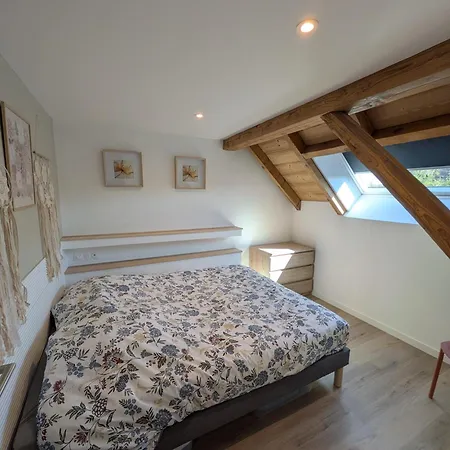 Apartamento La Charmante Remise D'alsace - Le